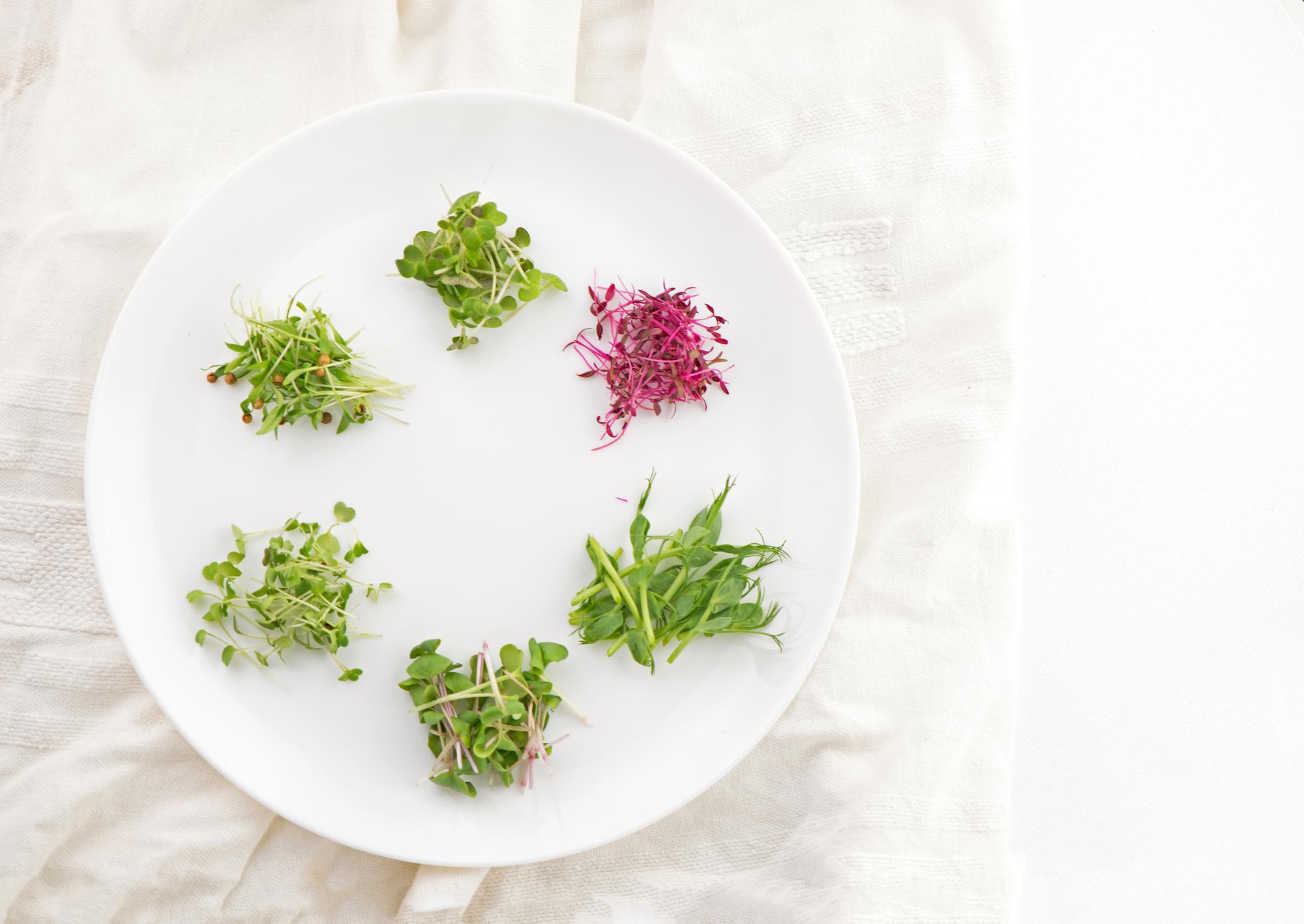 Close up of plated seasonal starter